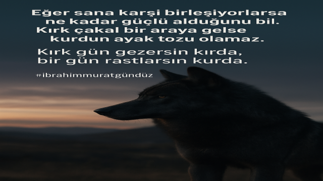 İbrahim Murat Gündüz’den Sert Çıkış: “Kırk Gün Gezersin Kırda, Bir Gün Rastlarsın Kurda”