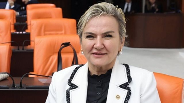 CHP'li Nimet Özdemir'den KKTC Seçimlerine İlişkin Çağrı: “Türkiye Tarafsızlığını Korumalı”