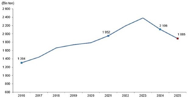 Kırmızı Et Üretim İstatistikleri, 2025