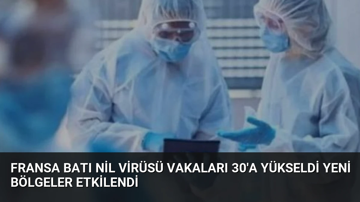 Fransa Batı Nil Virüsü Vakaları 30’a Yükseldi Yeni Bölgeler Etkilendi