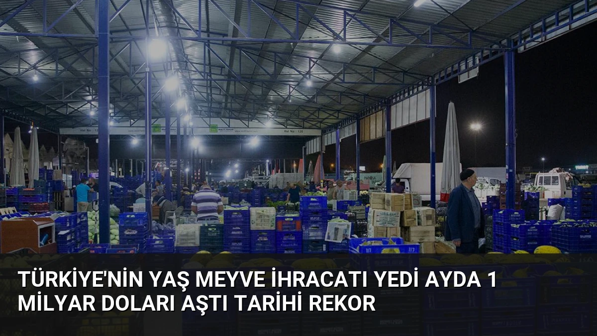 Türkiye’nin Yaş Meyve İhracatı Yedi Ayda 1 Milyar Doları Aştı Tarihi Rekor