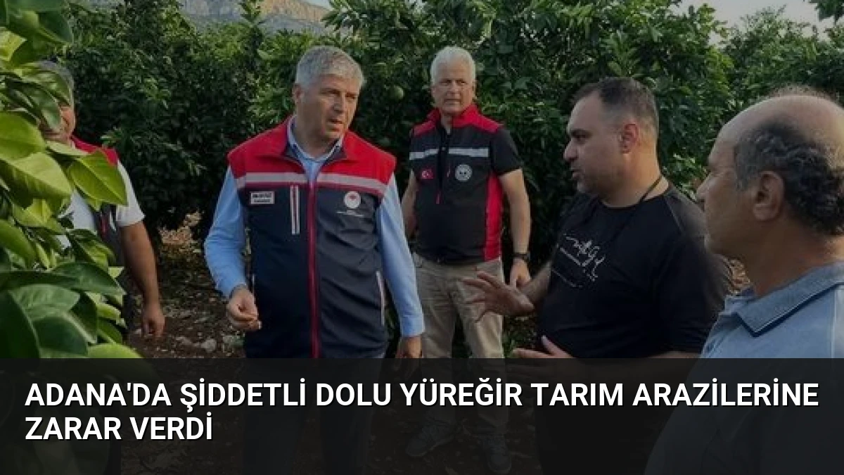 Adana’da Şiddetli Dolu Yüreğir Tarım Arazilerine Zarar Verdi
