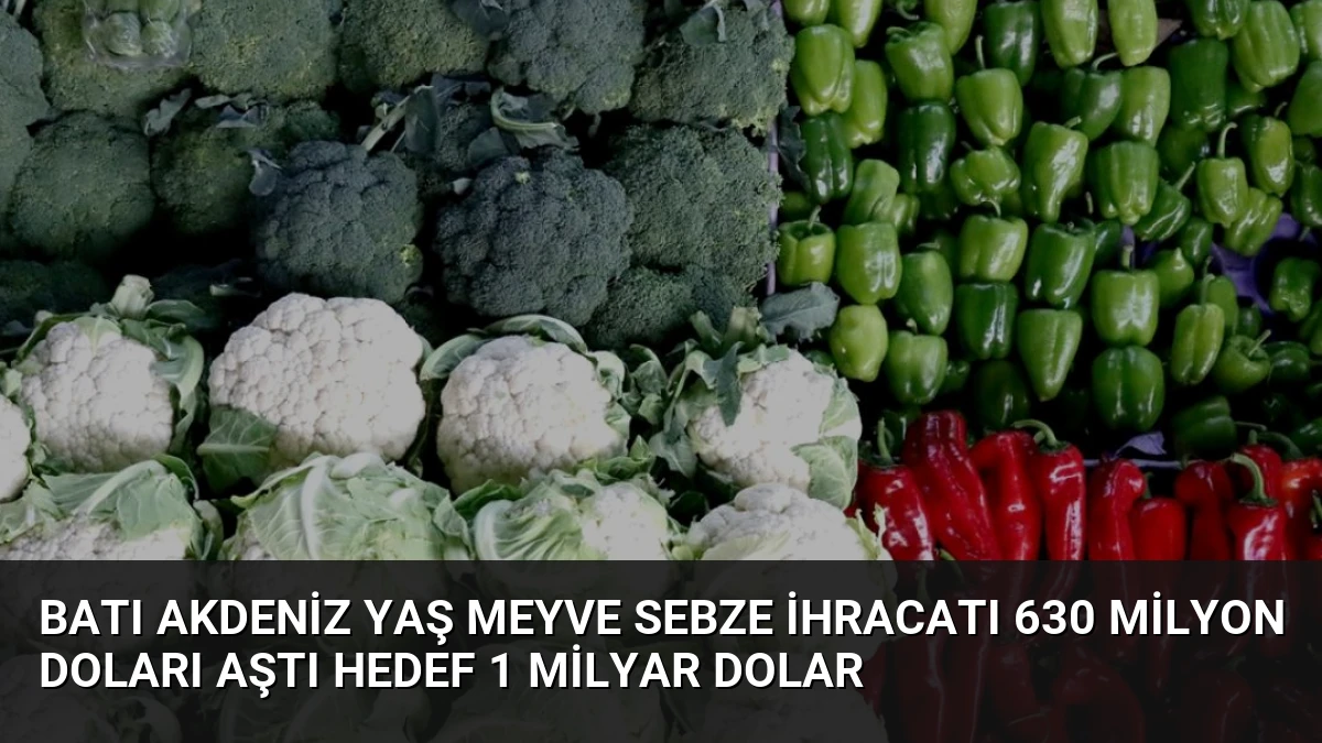 Batı Akdeniz Yaş Meyve Sebze İhracatı 630 Milyon Doları Aştı Hedef 1 Milyar Dolar