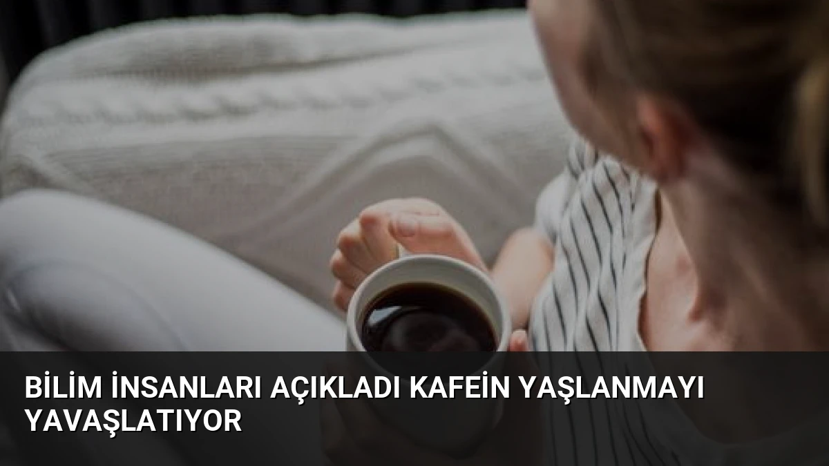 Bilim insanları açıkladı kafein yaşlanmayı yavaşlatıyor