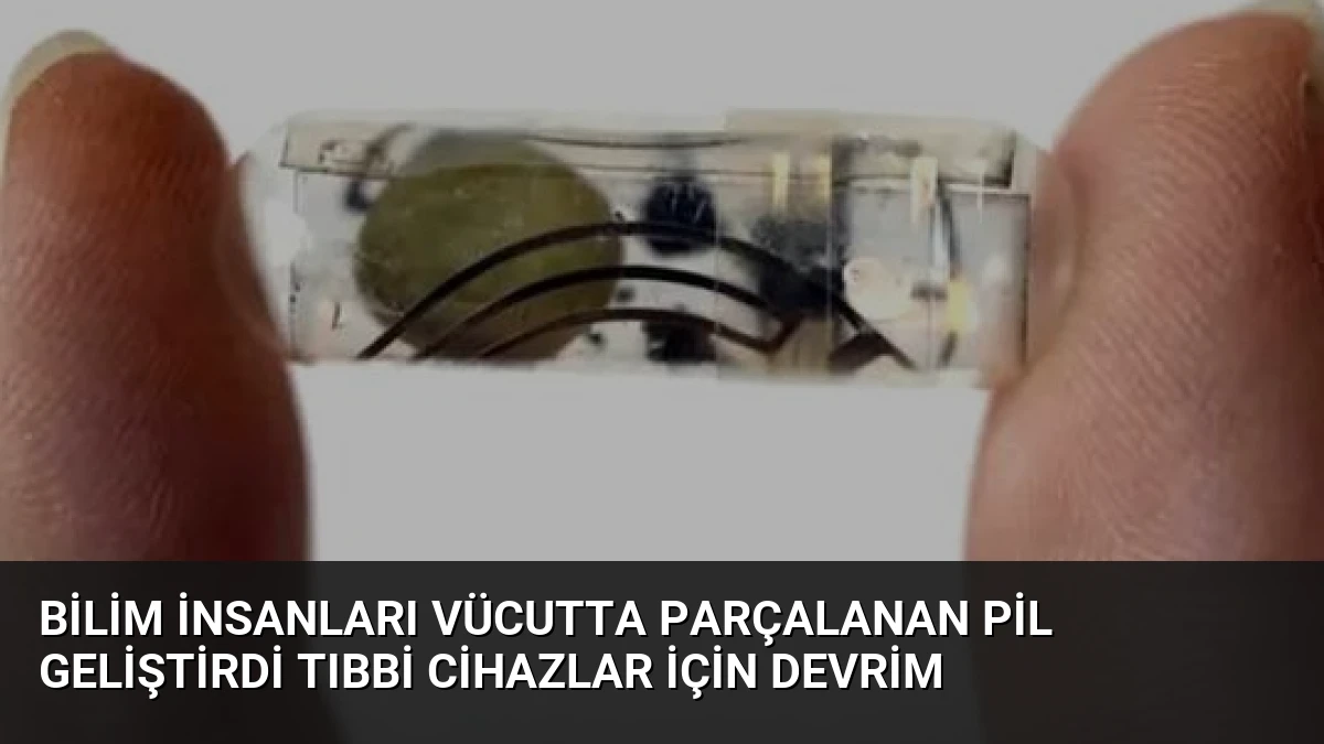 Bilim İnsanları Vücutta Parçalanan Pil Geliştirdi Tıbbi Cihazlar İçin Devrim