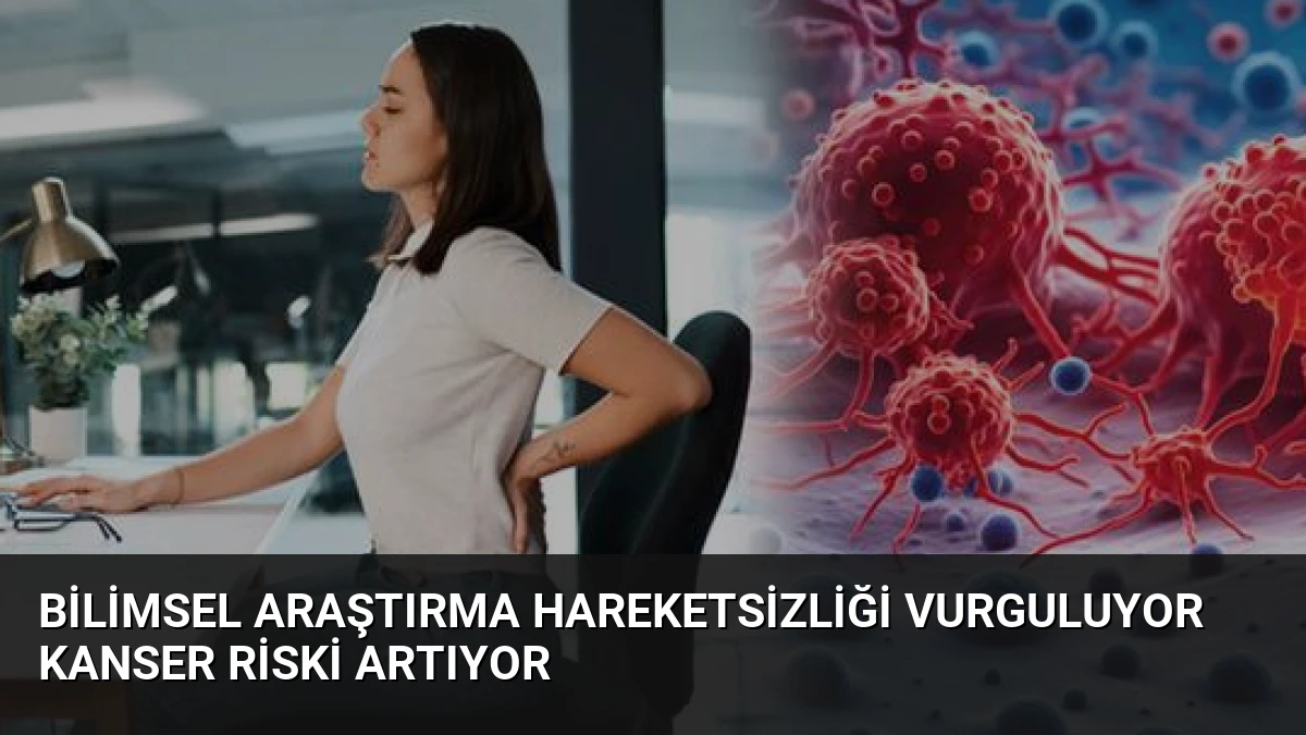 Bilimsel Araştırma Hareketsizliği Vurguluyor Kanser Riski Artıyor