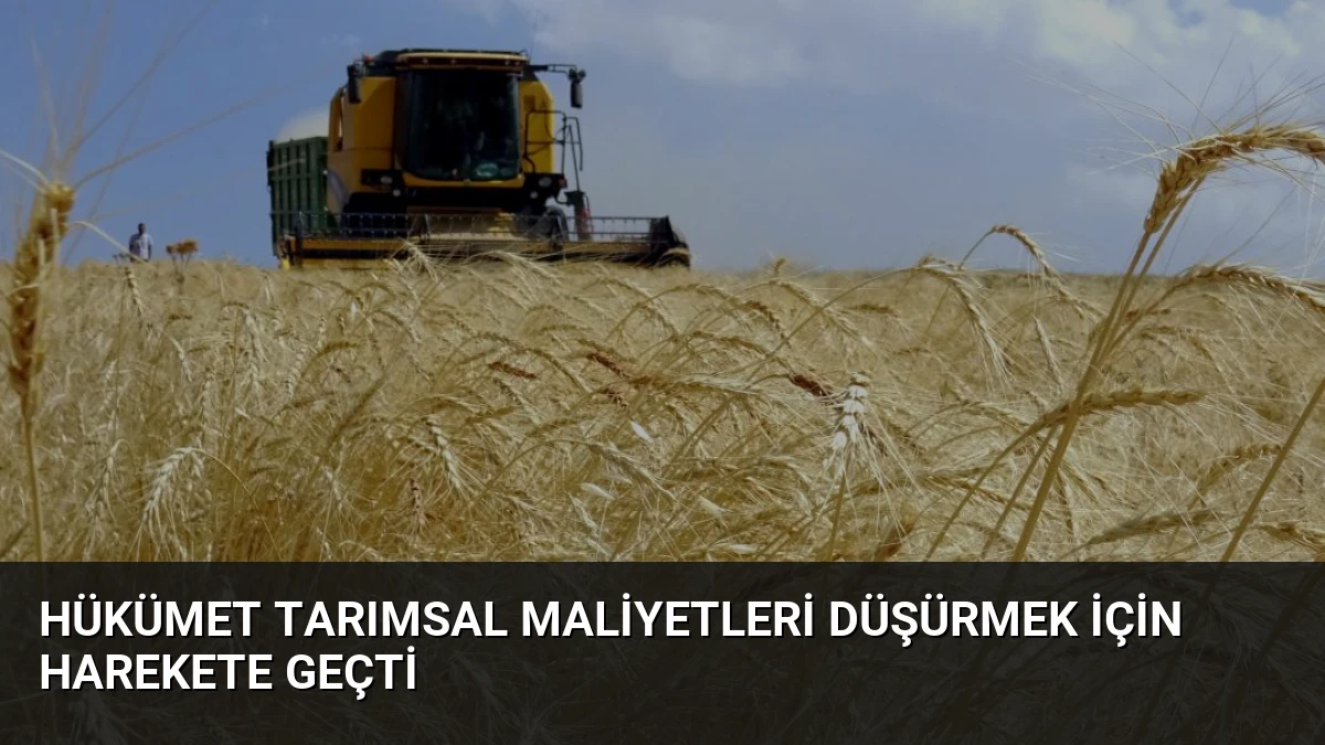 Hükümet Tarımsal Maliyetleri Düşürmek İçin Harekete Geçti