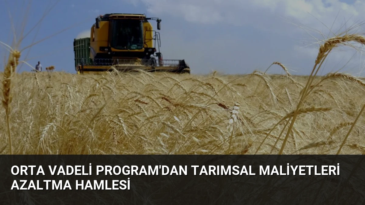 Orta Vadeli Program’dan Tarımsal Maliyetleri Azaltma Hamlesi