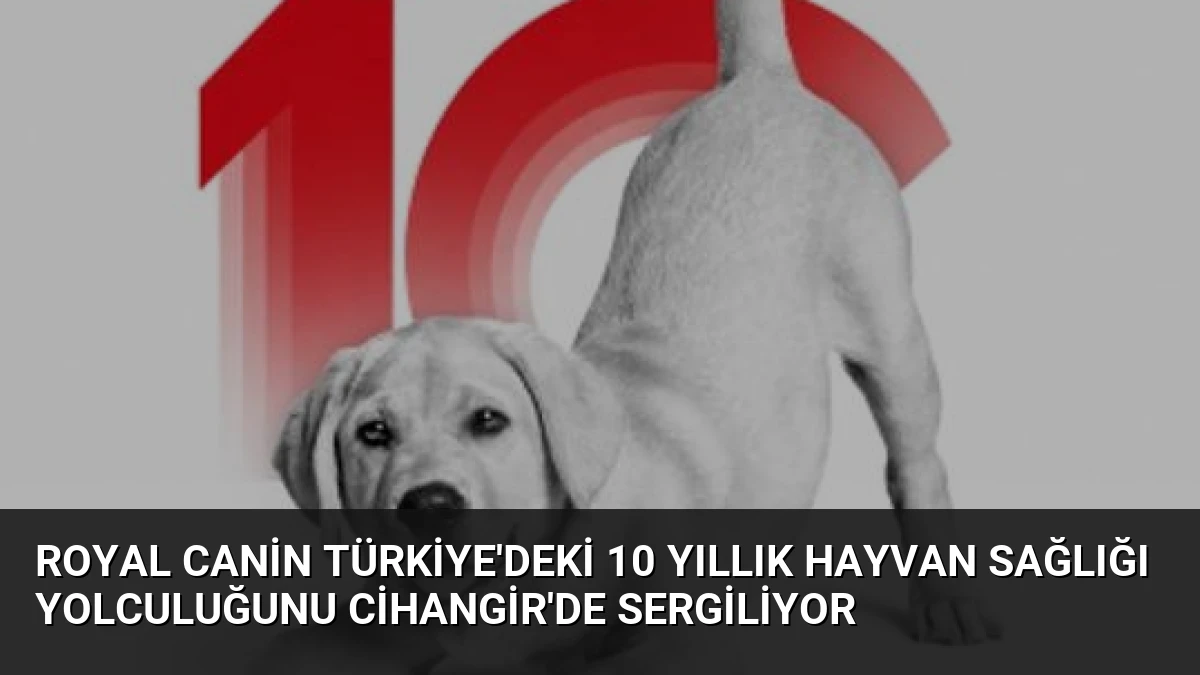 Royal Canin Türkiye’deki 10 Yıllık Hayvan Sağlığı Yolculuğunu Cihangir’de Sergiliyor