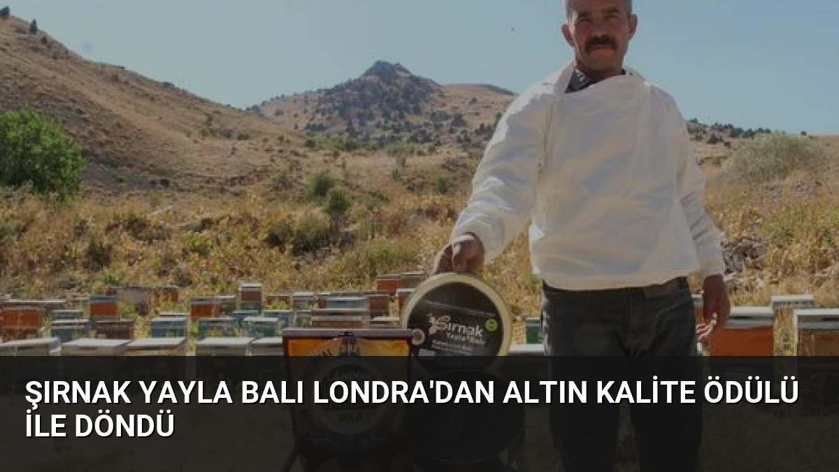 Şırnak Yayla Balı Londra’dan Altın Kalite Ödülü ile Döndü