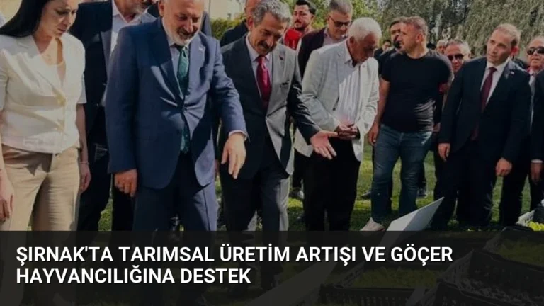Şırnak’ta Tarımsal Üretim Artışı ve Göçer Hayvancılığına Destek