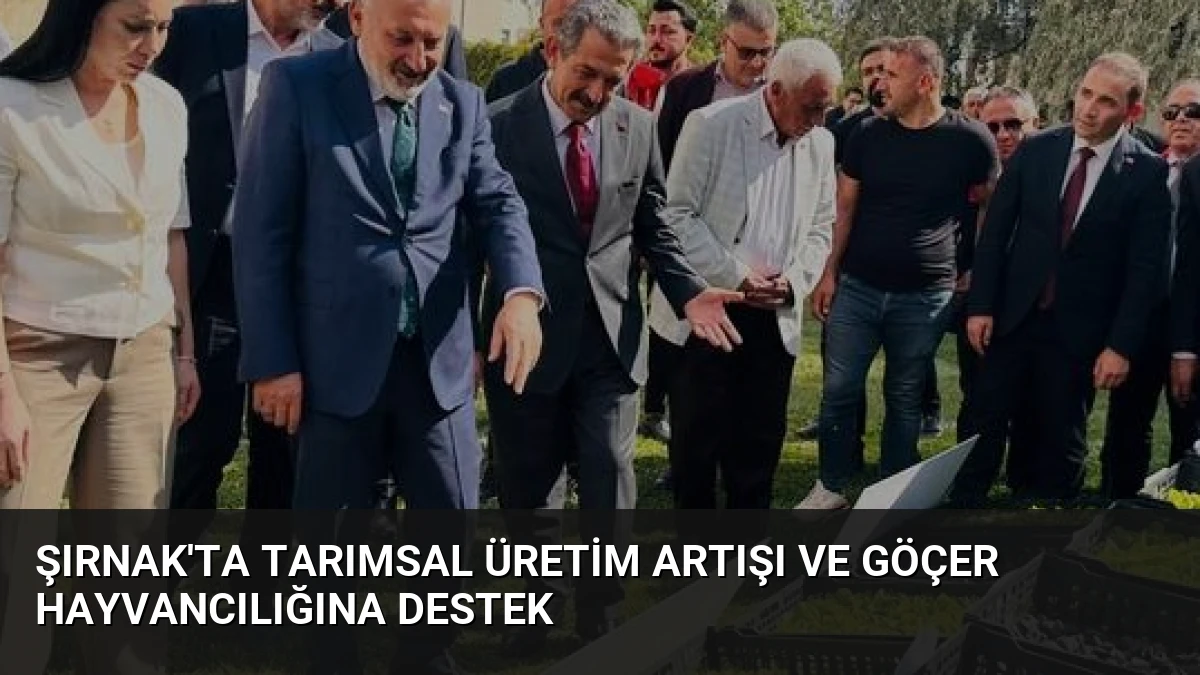 Şırnak’ta Tarımsal Üretim Artışı ve Göçer Hayvancılığına Destek