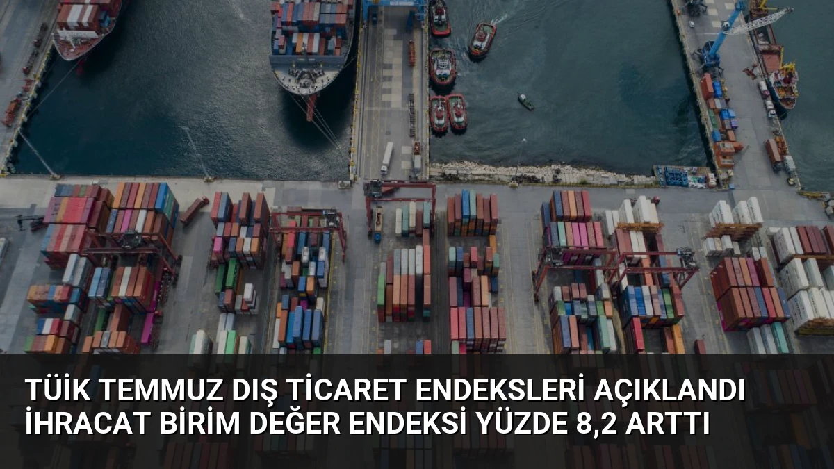 TÜİK Temmuz Dış Ticaret Endeksleri Açıklandı İhracat Birim Değer Endeksi Yüzde 8,2 Arttı