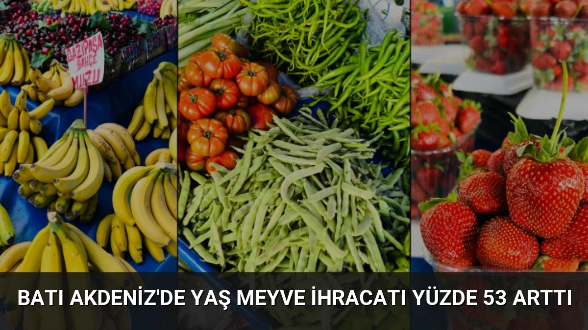 Batı Akdeniz’de Yaş Meyve İhracatı Yüzde 53 Arttı