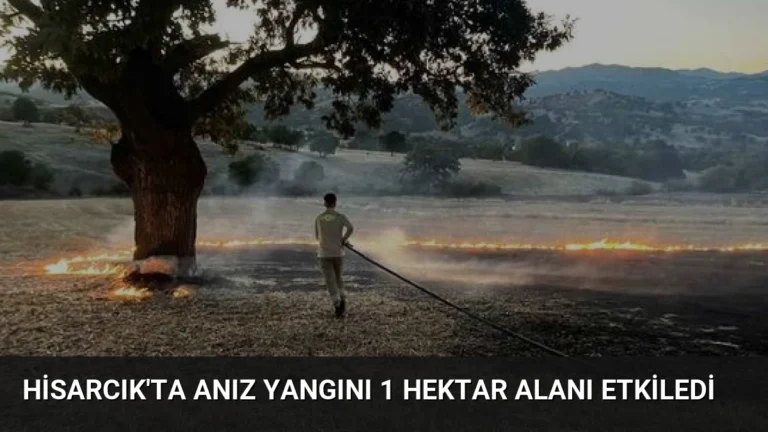 Hisarcık’ta Anız Yangını 1 Hektar Alanı Etkiledi