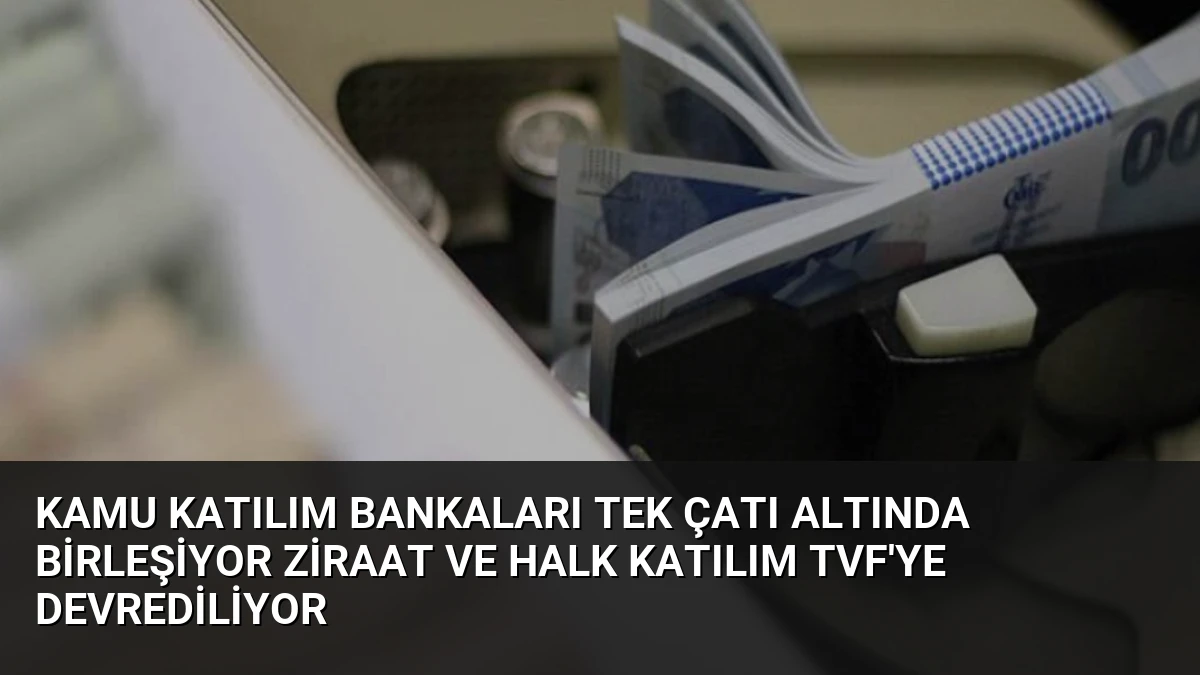Kamu Katılım Bankaları Tek Çatı Altında Birleşiyor Ziraat ve Halk Katılım TVF’ye Devrediliyor