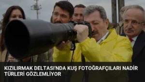Kızılırmak Deltası’nda Kuş Fotoğrafçıları Nadir Türleri Gözlemliyor