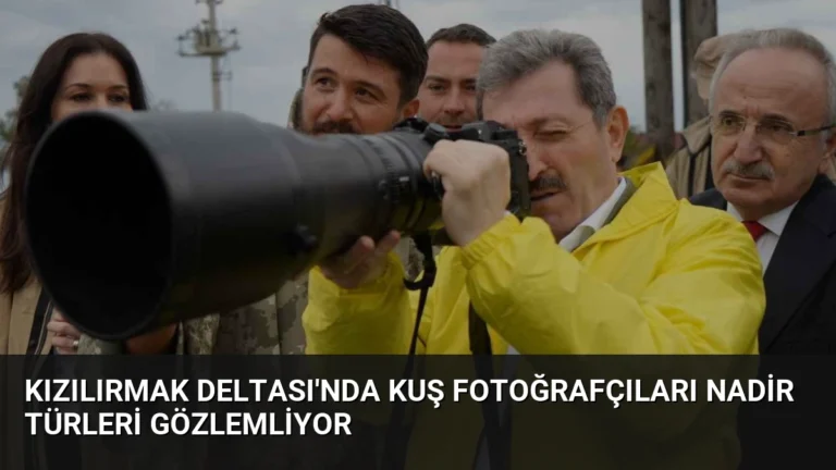 Kızılırmak Deltası’nda Kuş Fotoğrafçıları Nadir Türleri Gözlemliyor