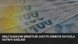 Mali Olmayan Şirketler 2025’te GSMH’ye En Fazla Katkıyı Sağladı