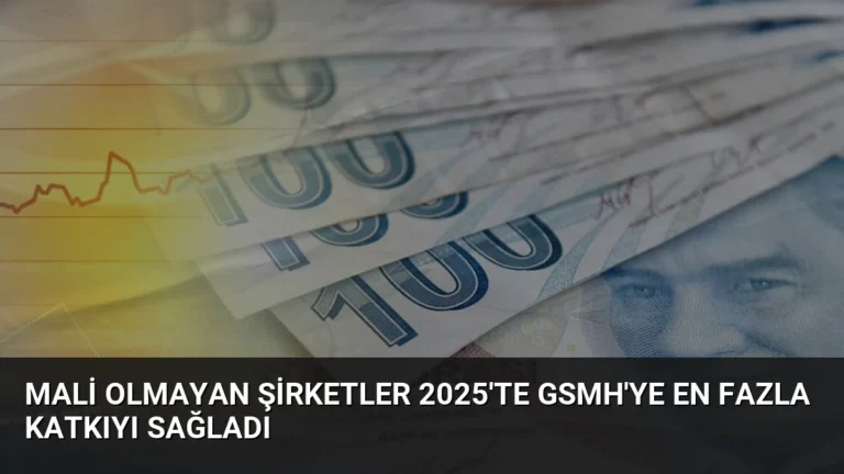 Mali Olmayan Şirketler 2025’te GSMH’ye En Fazla Katkıyı Sağladı