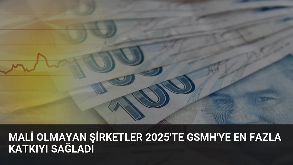 Mali Olmayan Şirketler 2025’te GSMH’ye En Fazla Katkıyı Sağladı