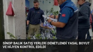 Sinop Balık Satış Yerleri Denetlendi Yasal Boyut ve Hijyen Kontrol Edildi
