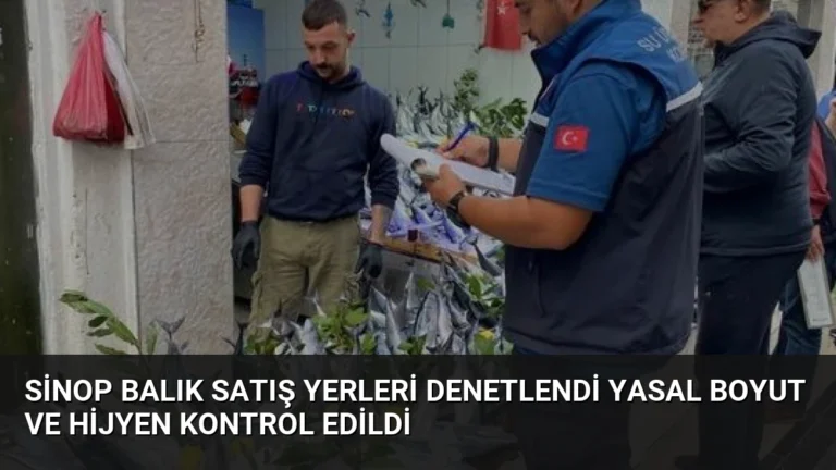 Sinop Balık Satış Yerleri Denetlendi Yasal Boyut ve Hijyen Kontrol Edildi
