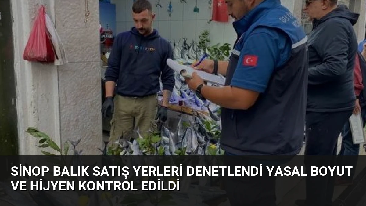 Sinop Balık Satış Yerleri Denetlendi Yasal Boyut ve Hijyen Kontrol Edildi