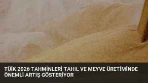 TÜİK 2026 Tahminleri Tahıl ve Meyve Üretiminde Önemli Artış Gösteriyor