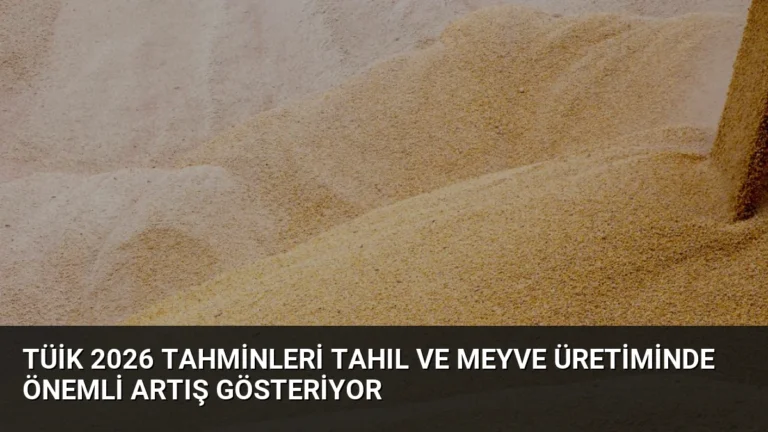 TÜİK 2026 Tahminleri Tahıl ve Meyve Üretiminde Önemli Artış Gösteriyor