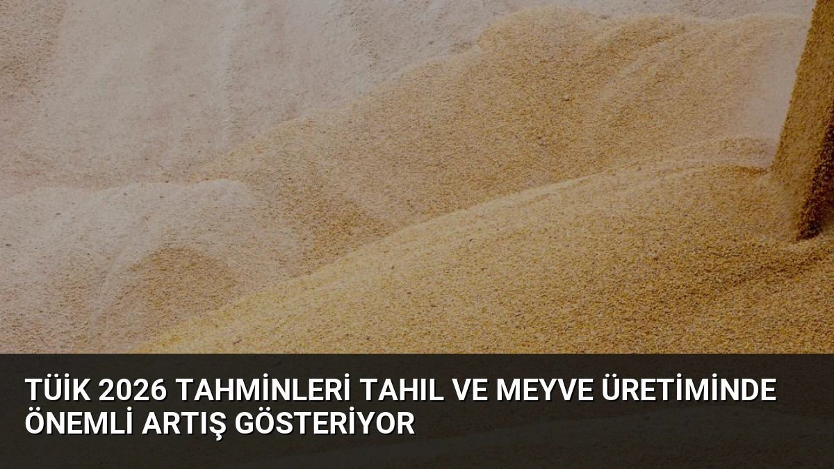TÜİK 2026 Tahminleri Tahıl ve Meyve Üretiminde Önemli Artış Gösteriyor