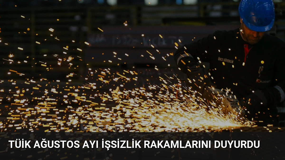 TÜİK Ağustos Ayı İşsizlik Rakamlarını Duyurdu