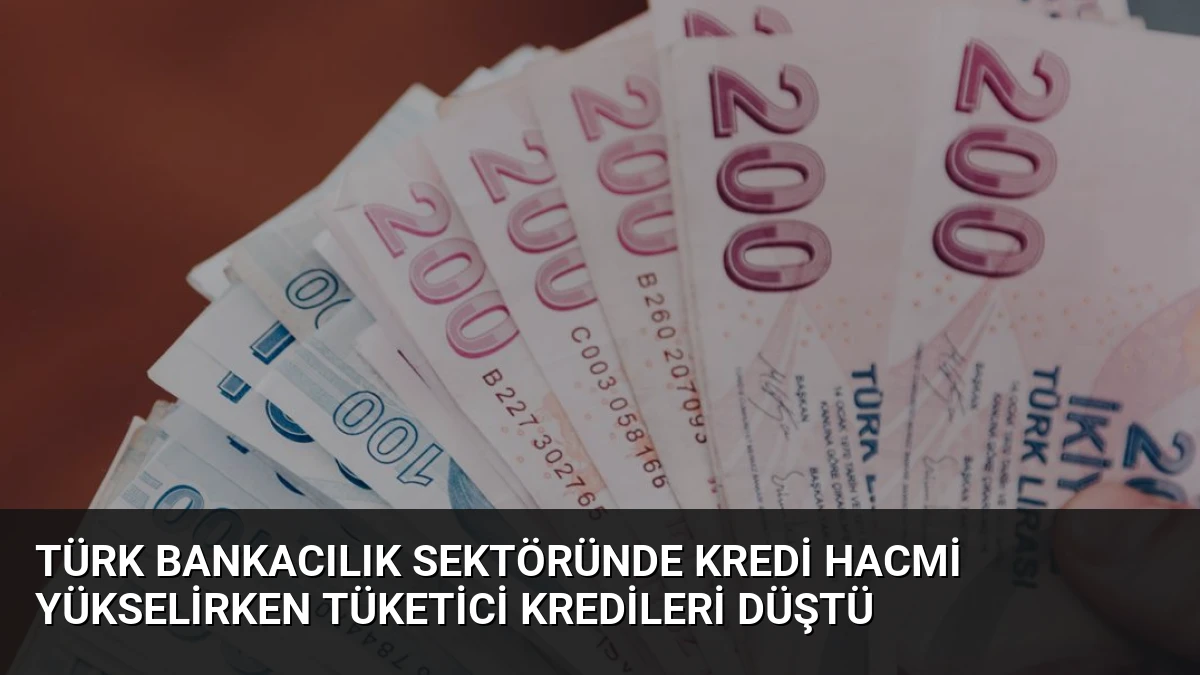 Türk Bankacılık Sektöründe Kredi Hacmi Yükselirken Tüketici Kredileri Düştü