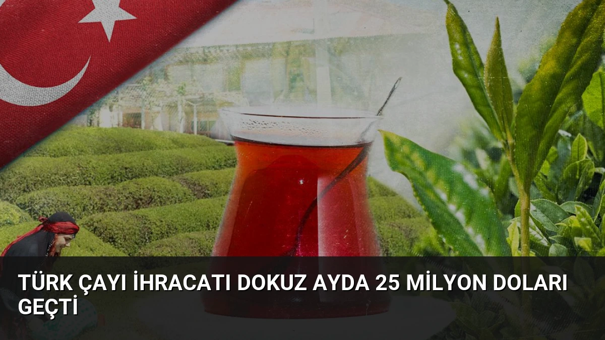 Türk Çayı İhracatı Dokuz Ayda 25 Milyon Doları Geçti