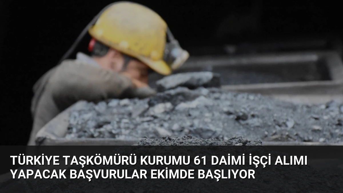 Türkiye Taşkömürü Kurumu 61 Daimi İşçi Alımı Yapacak Başvurular Ekimde Başlıyor
