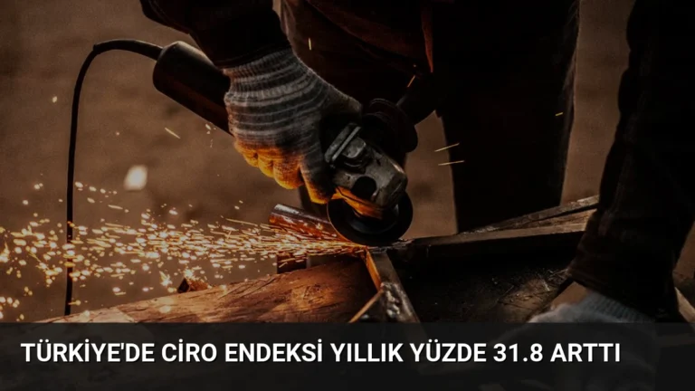 Türkiye’de Ciro Endeksi Yıllık Yüzde 31.8 Arttı