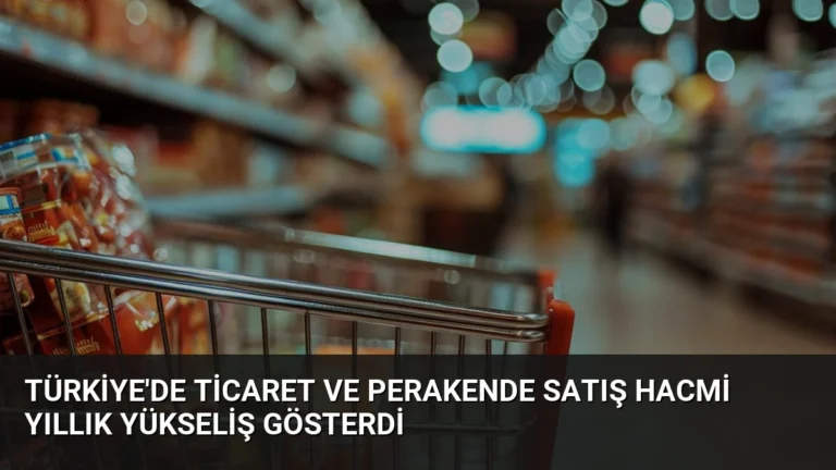 Türkiye’de Ticaret ve Perakende Satış Hacmi Yıllık Yükseliş Gösterdi