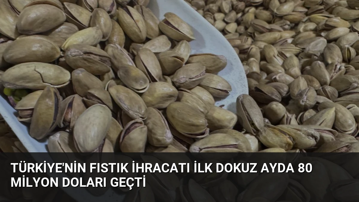 Türkiye’nin Fıstık İhracatı İlk Dokuz Ayda 80 Milyon Doları Geçti